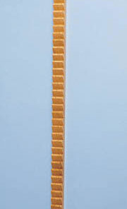 Shoulder / Finger Exercise Ladder