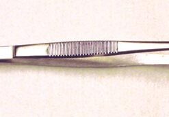 Tissue Forceps 5  1x2 Teeth