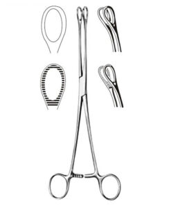 Foerster Sponge Forcep- 7  Serrated