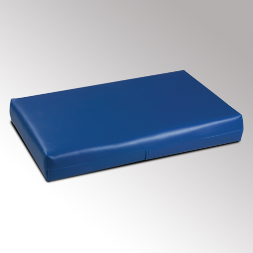 Pillow Large 13 x20 x3 w/Vinyl Cover