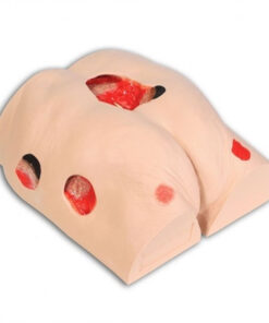 Seymour II Decubitus Wound Care Model