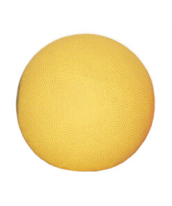 Rebounder Medicine Ball 4.4 lb Medicine Ball 4.4 Lbs